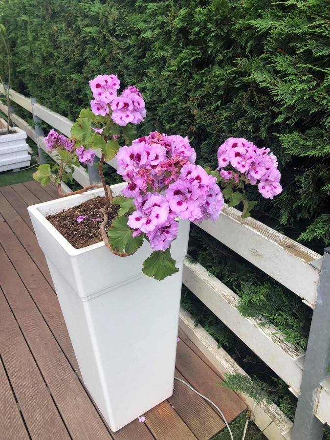 Rezidenca Primavera Durres